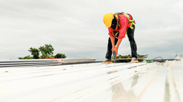 Best Rubber Roofing (EPDM, TPO)  in Janesville, IA